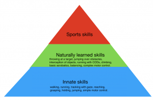 sports skills are susceptible to choking because it is 3--d floor